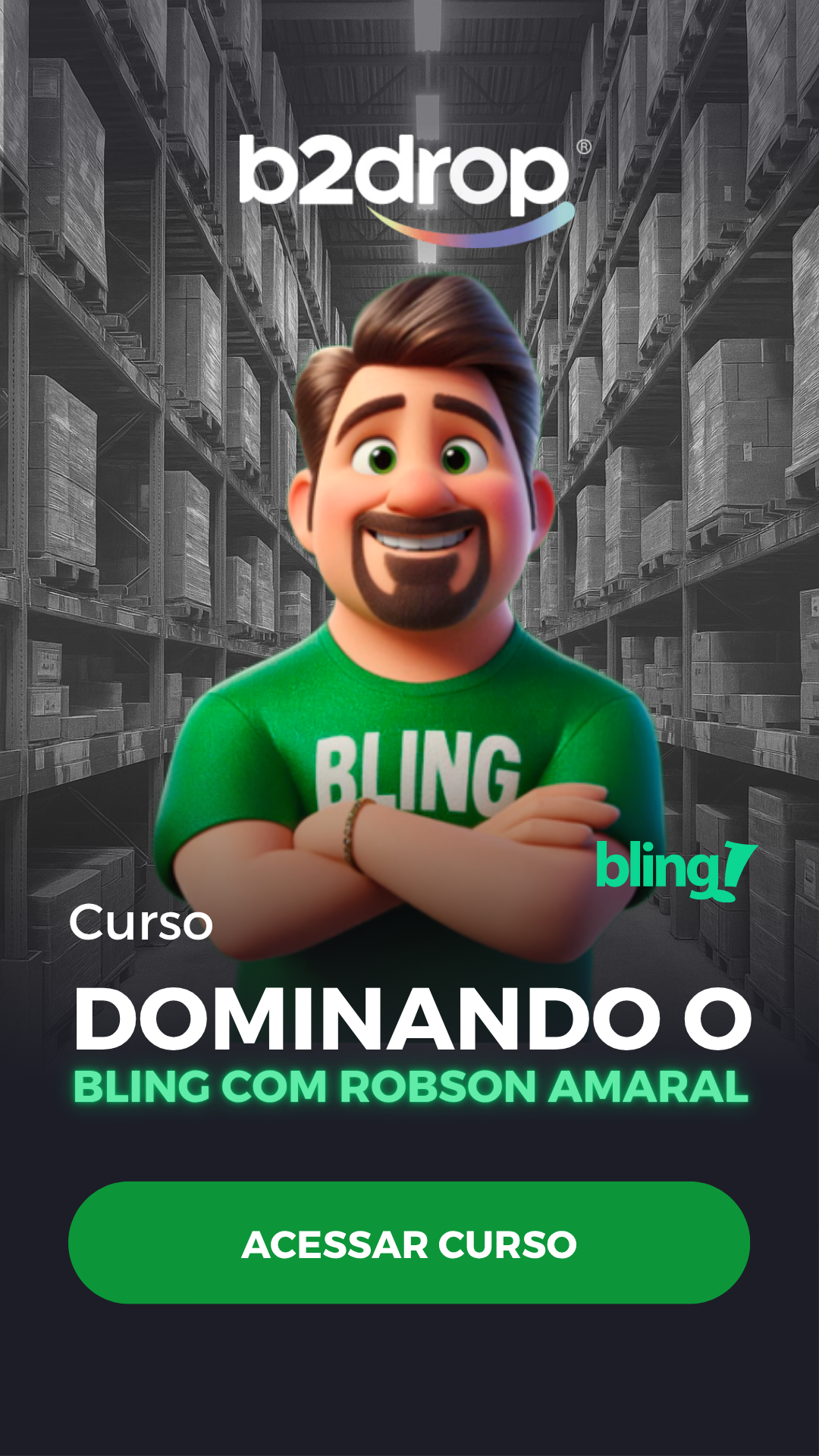 Dominando o BLING Com Robson Amaral